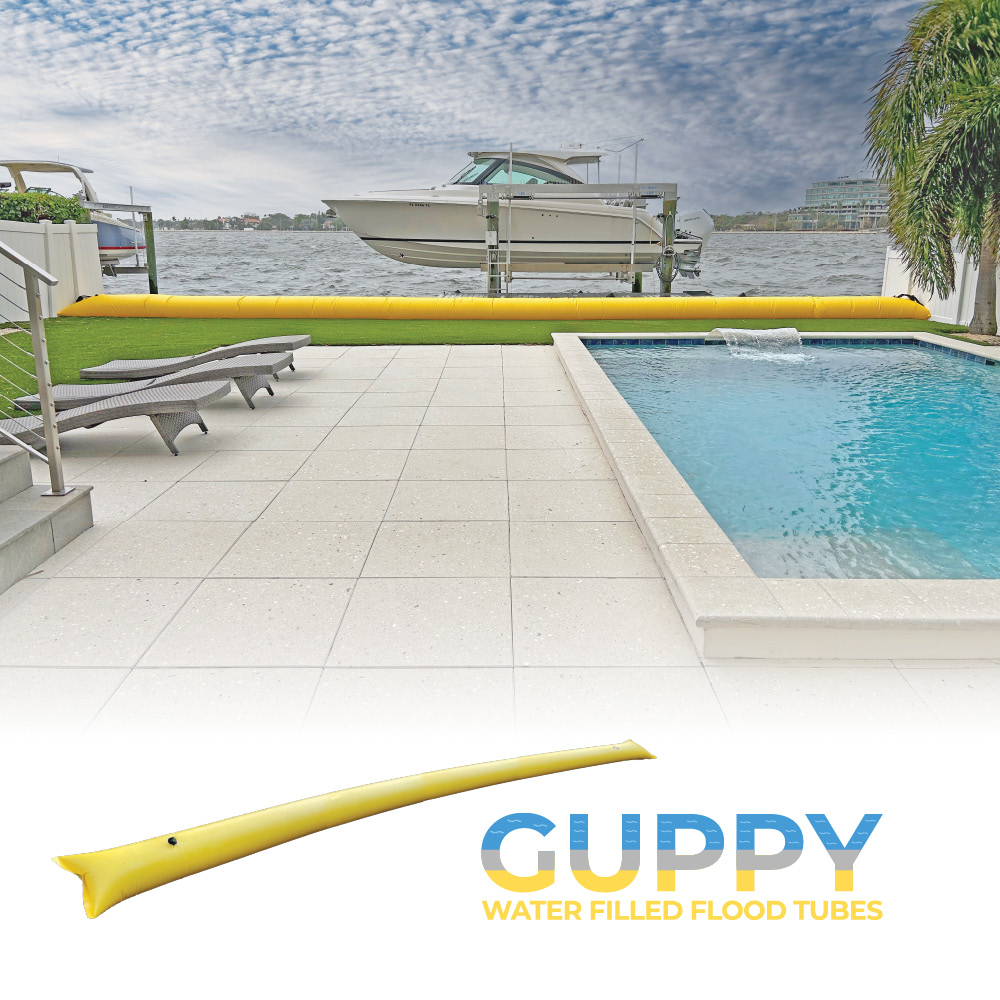 Guppy