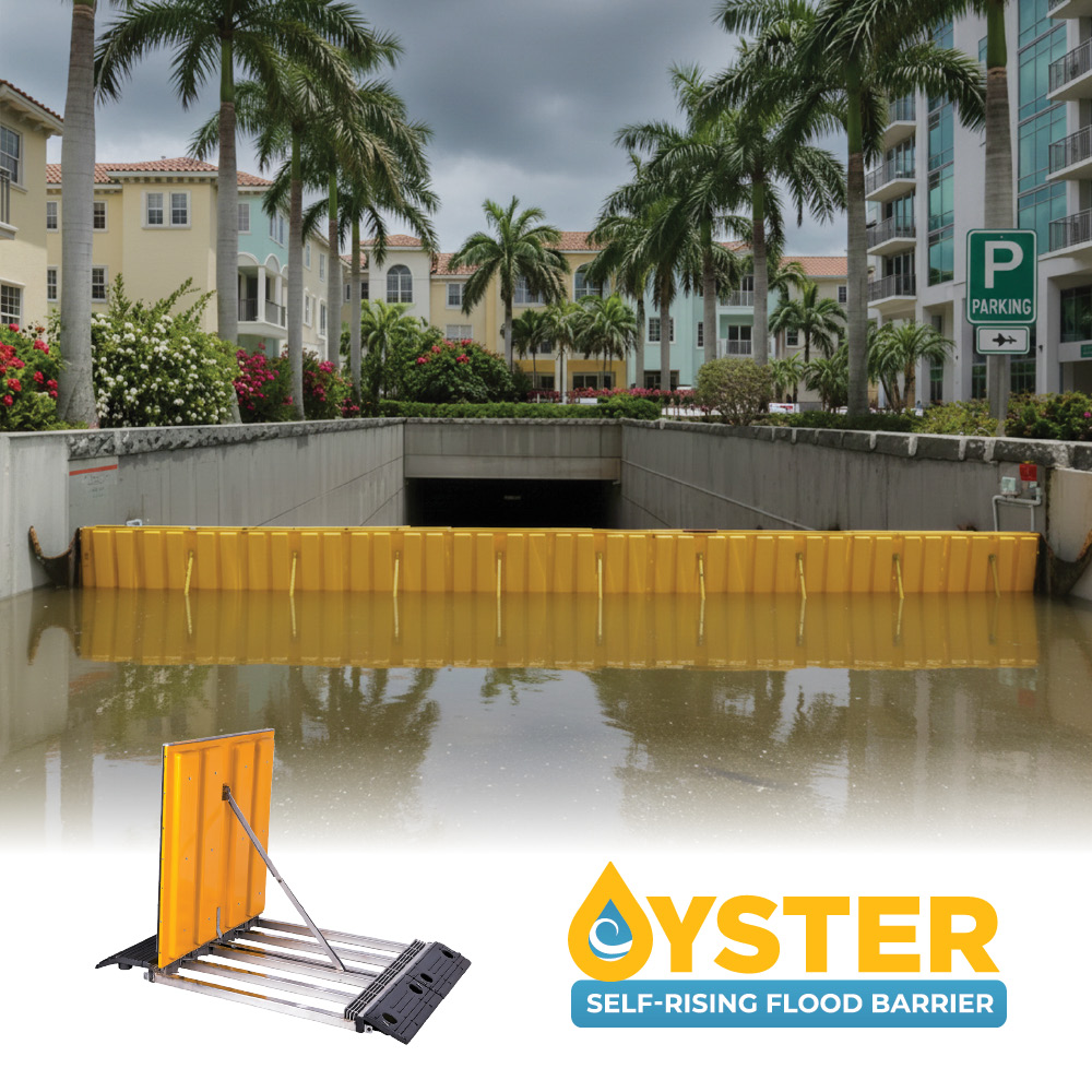 Oyster